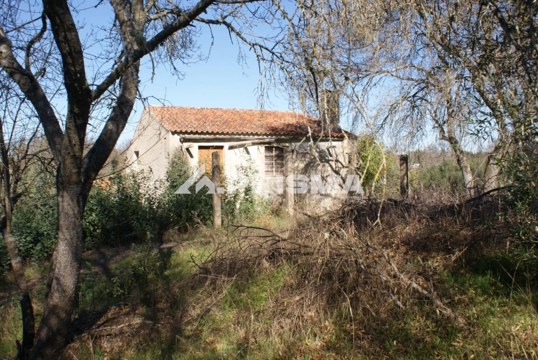 Terreno para Venda em Castelo Branco Foto 30
