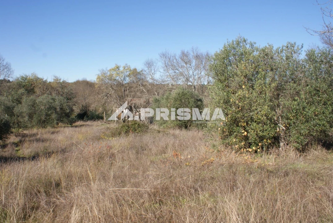 Terreno para Venda em Castelo Branco Foto 4