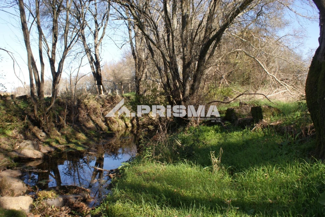 Terreno para Venda em Castelo Branco Foto 16