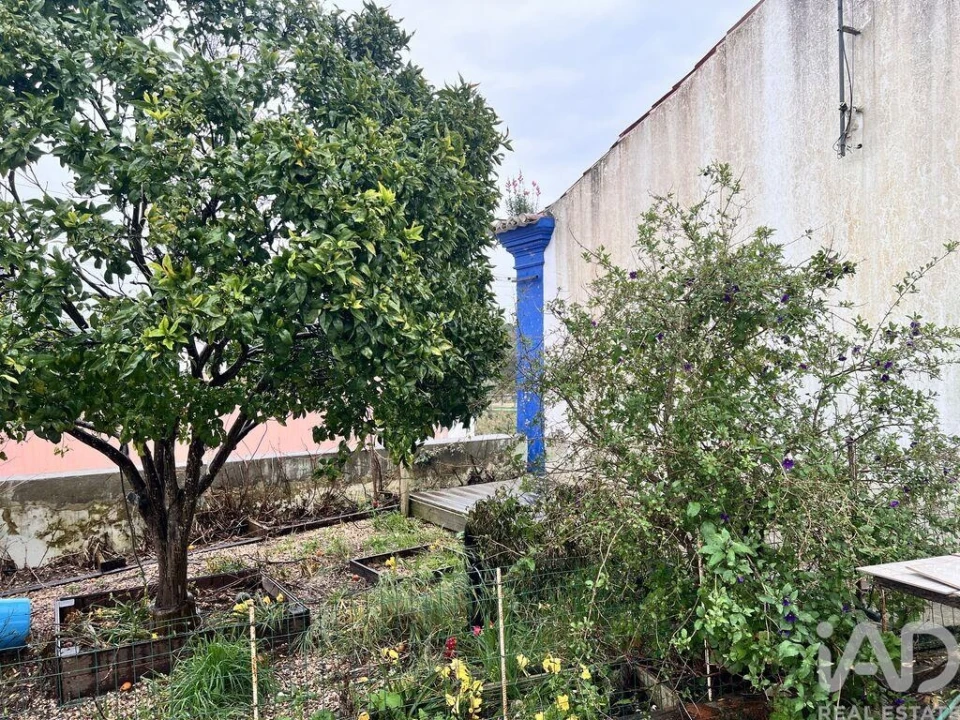 Moradia T3 para Venda em Melides Foto 22