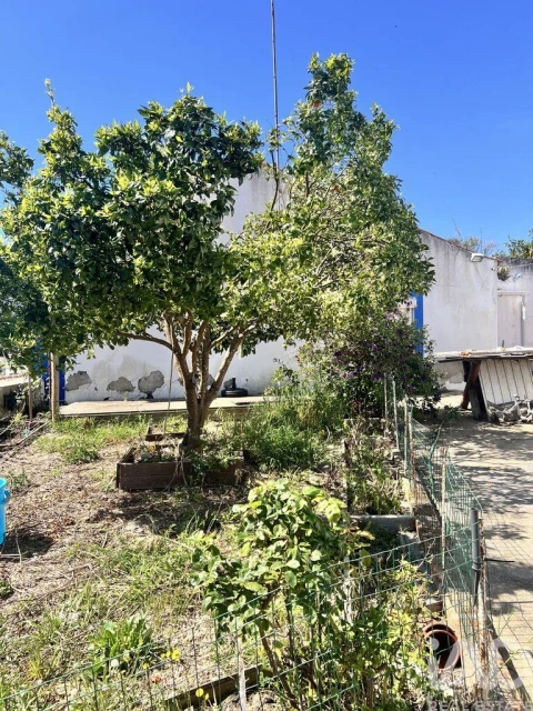 Moradia T3 para Venda em Melides