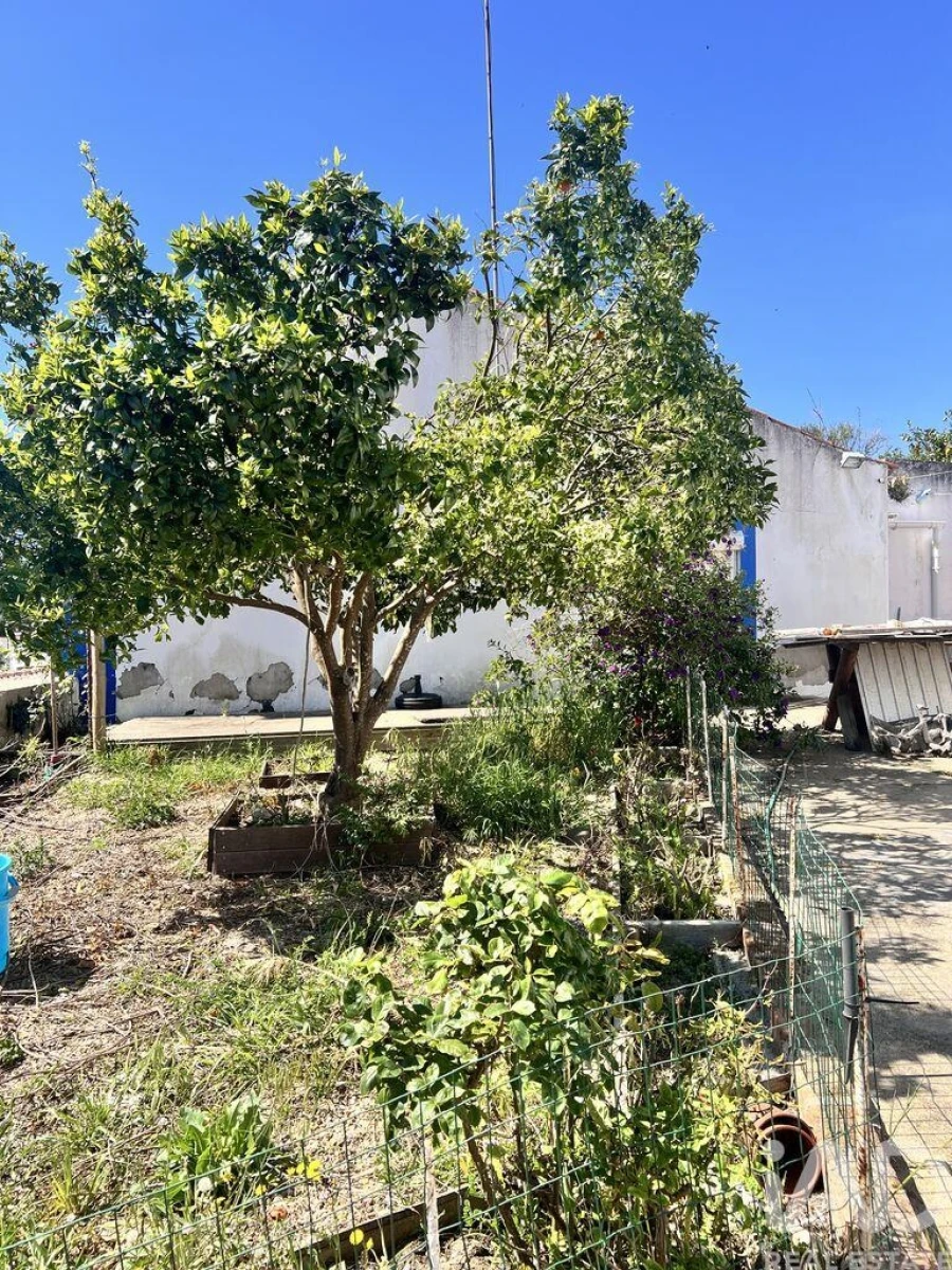 Moradia T3 para Venda em Melides Foto 23