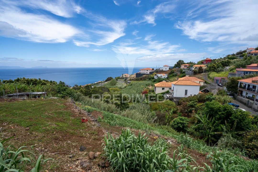 Terreno para Venda em Gaula Foto 10