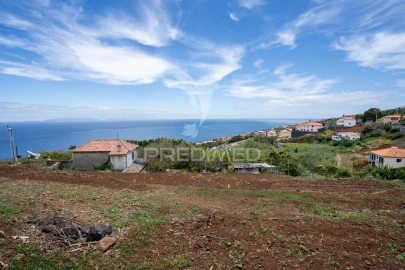 Terreno para Venda em Gaula