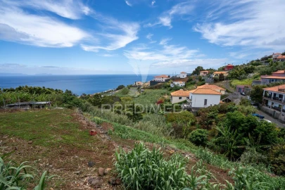 Terreno para Venda em Gaula