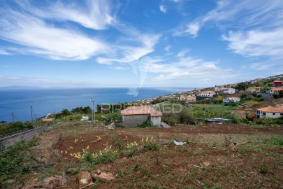 Terreno para Venda em Gaula