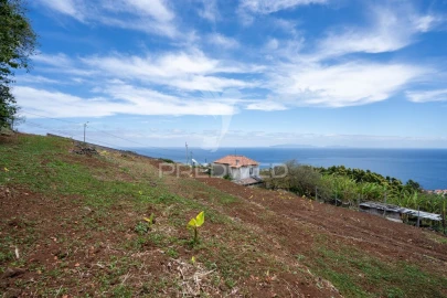 Terreno para Venda em Gaula