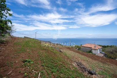Terreno para Venda em Gaula