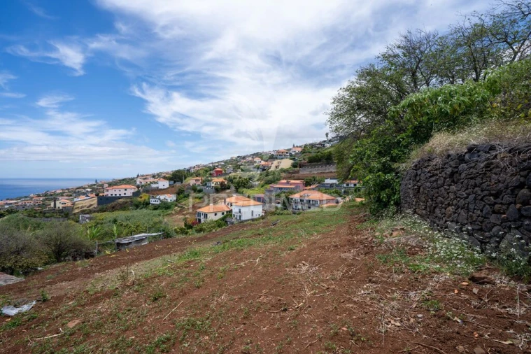 Terreno para Venda em Gaula Foto 3