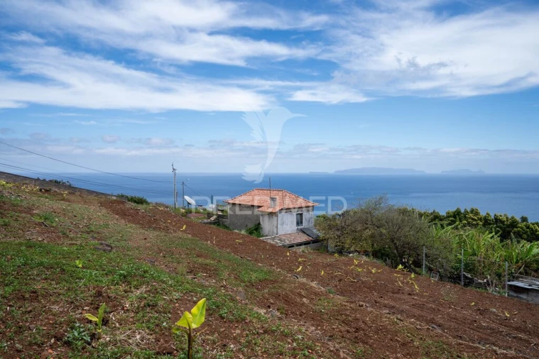 Terreno para Venda em Gaula Foto 9