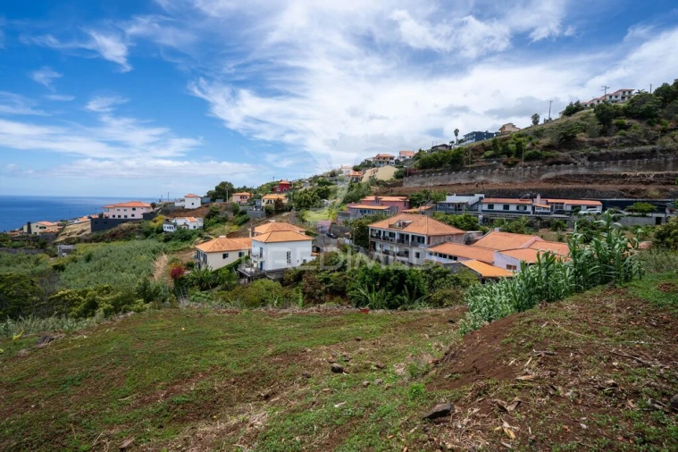 Terreno para Venda em Gaula Foto 7