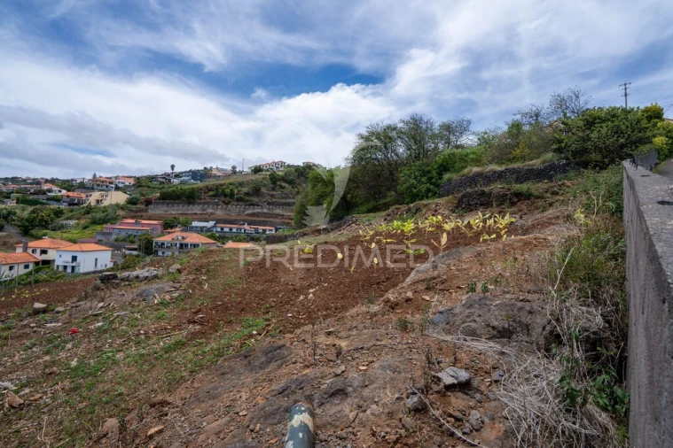 Terreno para Venda em Gaula Foto 12