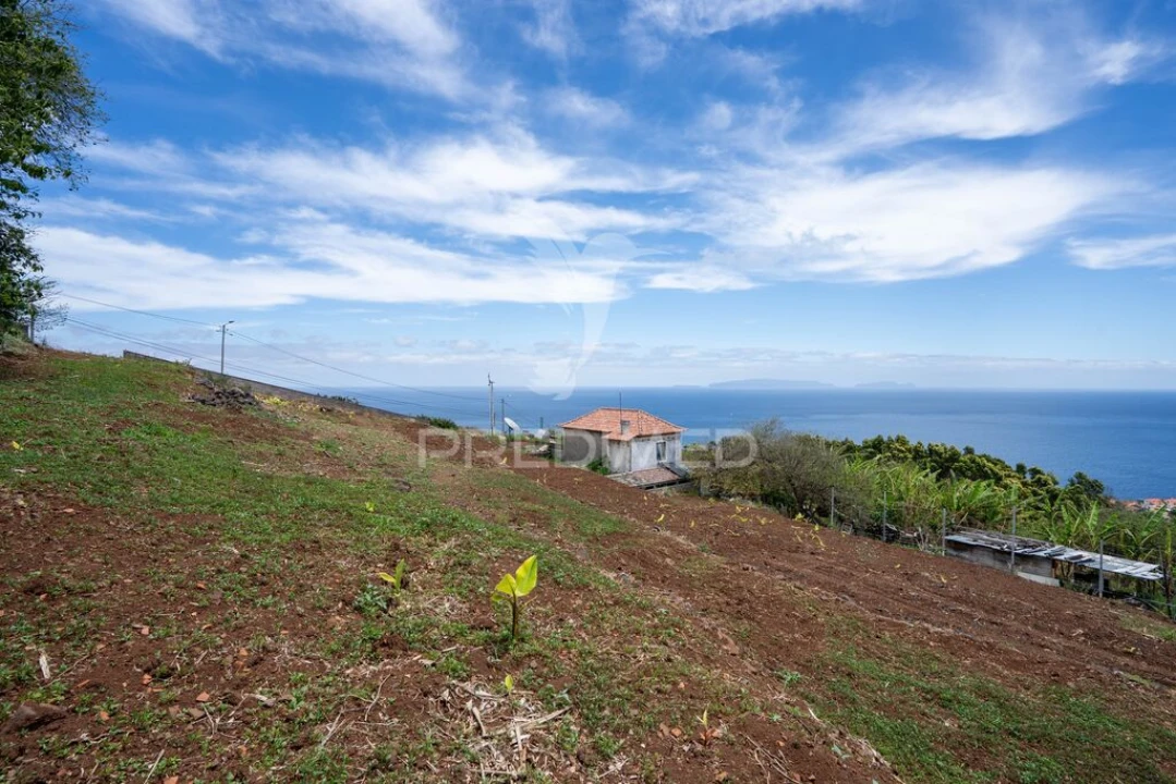 Terreno para Venda em Gaula Foto 8
