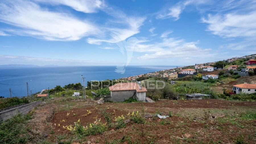 Terreno para Venda em Gaula