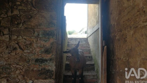 Moradia para Venda em São Miguel, Santa Eufémia e Rabaçal