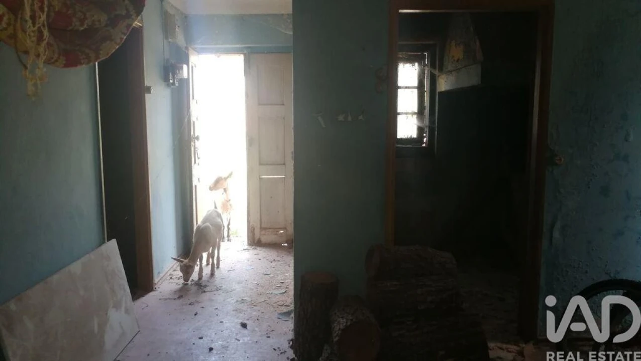 Moradia para Venda em São Miguel, Santa Eufémia e Rabaçal Foto 20