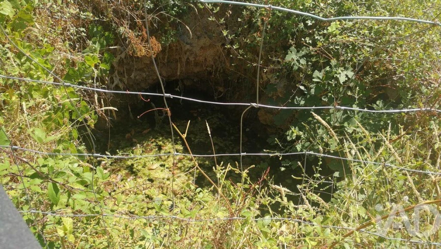 Moradia para Venda em São Miguel, Santa Eufémia e Rabaçal Foto 34