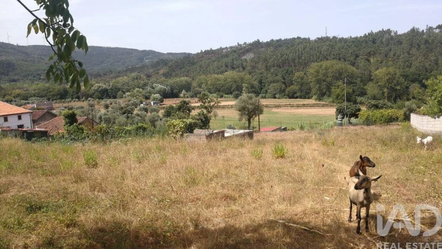 Moradia para Venda em São Miguel, Santa Eufémia e Rabaçal Foto 13