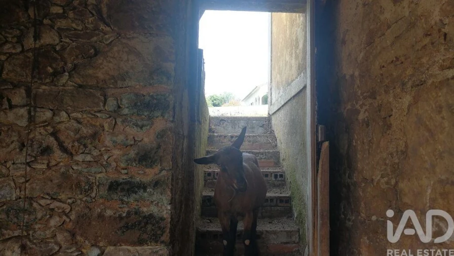 Moradia para Venda em São Miguel, Santa Eufémia e Rabaçal Foto 32