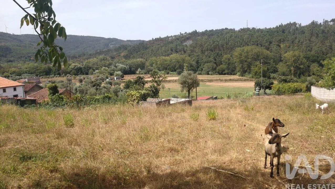 Moradia para Venda em São Miguel, Santa Eufémia e Rabaçal Foto 13