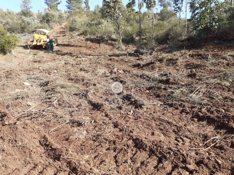 Moradia T3 para Venda em Escalos de Baixo e Mata Foto 4
