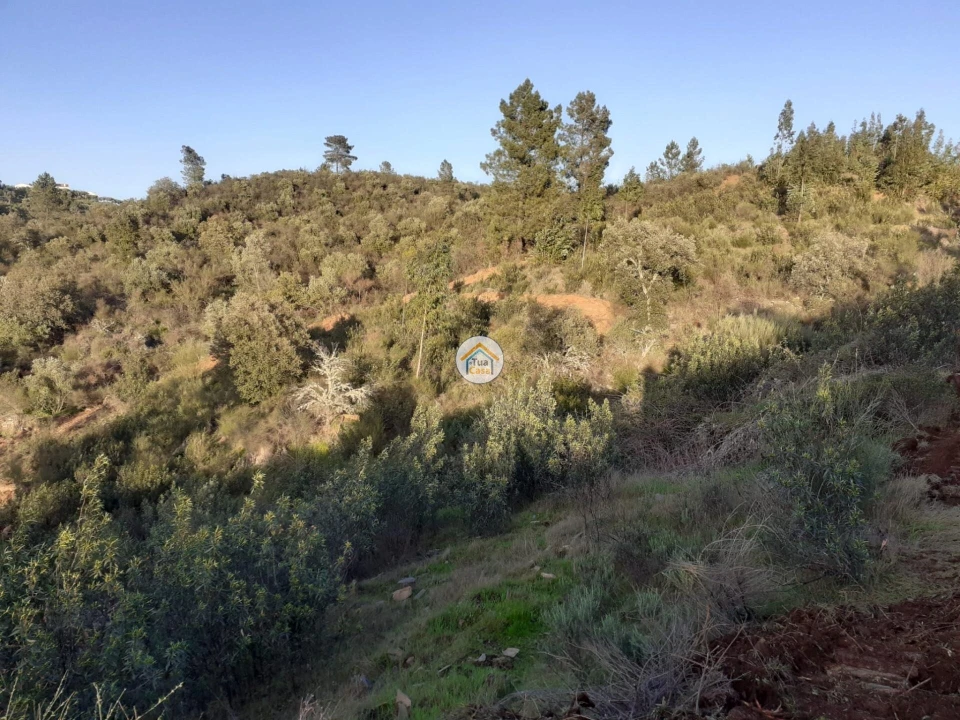 Moradia T3 para Venda em Escalos de Baixo e Mata Foto 6