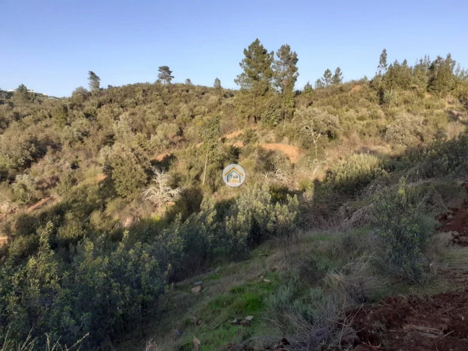 Moradia T3 para Venda em Escalos de Baixo e Mata Foto 6