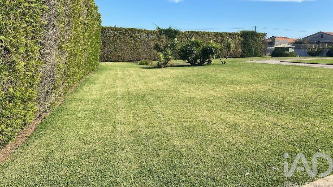 Moradia T4 para Venda em Apúlia e Fão Foto 3