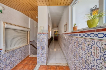Negócio para Venda em Moitas Venda