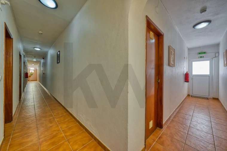 Negócio para Venda em Moitas Venda Foto 68