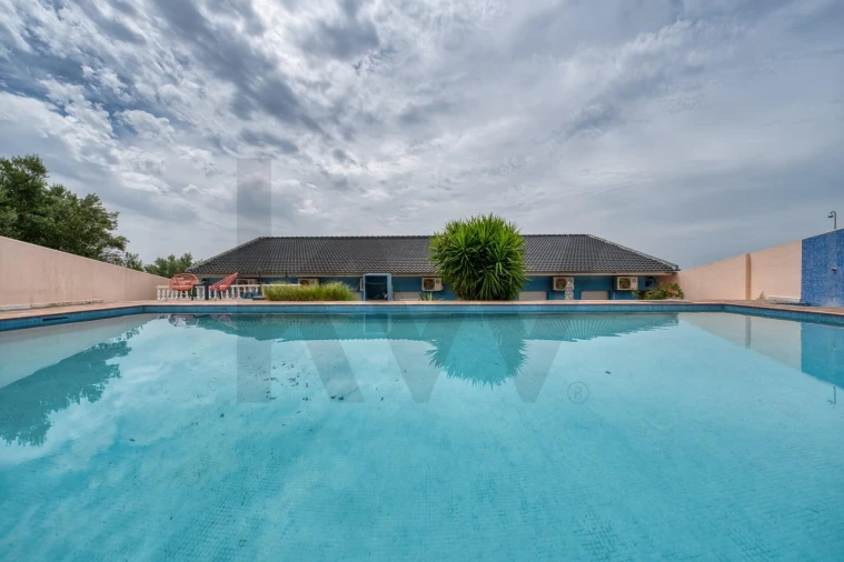 Negócio para Venda em Moitas Venda Foto 76