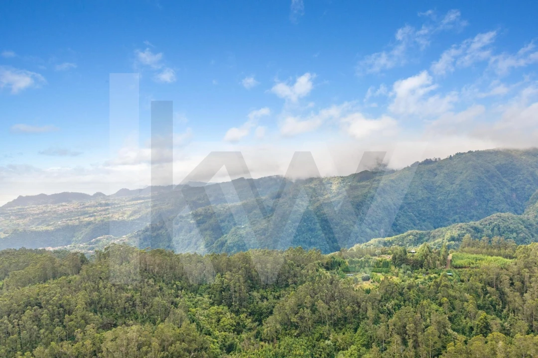 Terreno para Venda em Arco de São Jorge Foto 29