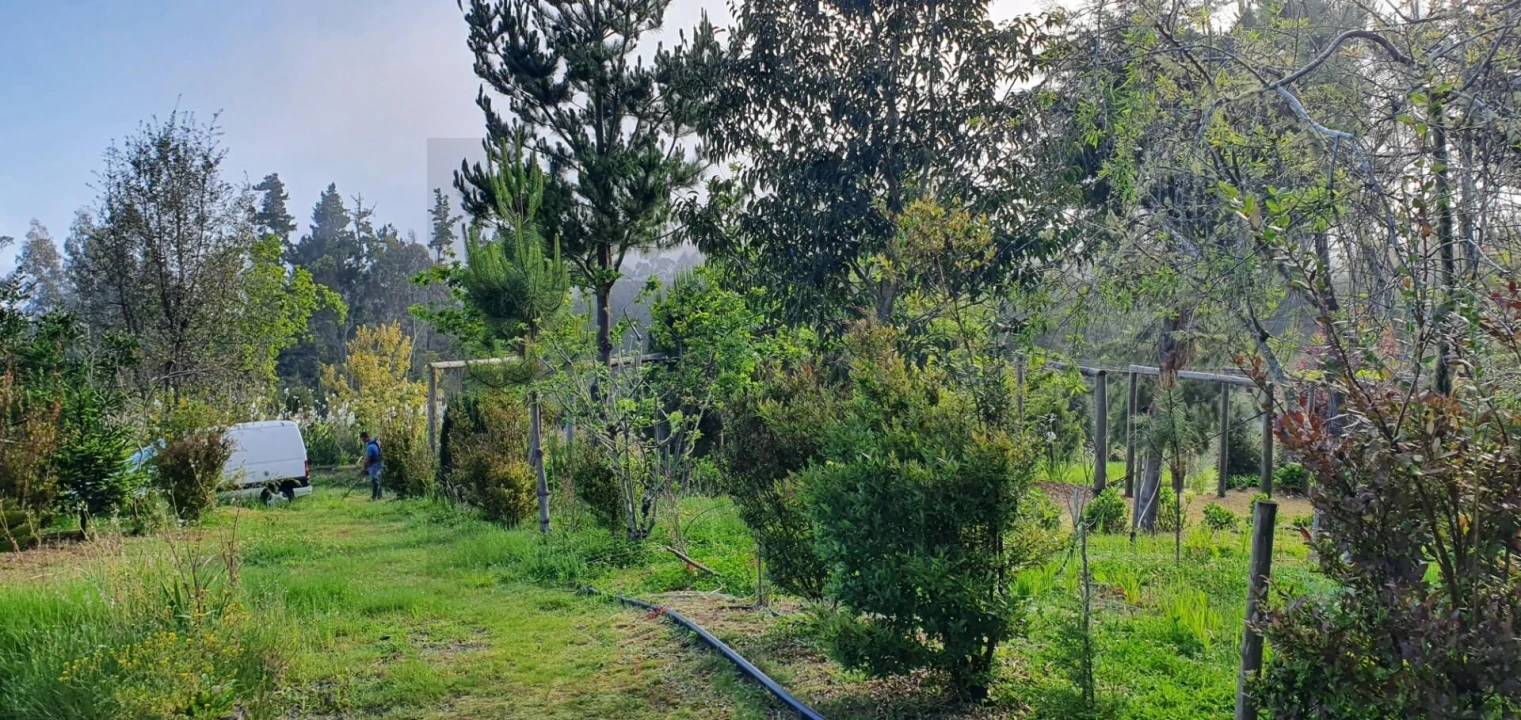 Terreno para Venda em Arco de São Jorge Foto 8