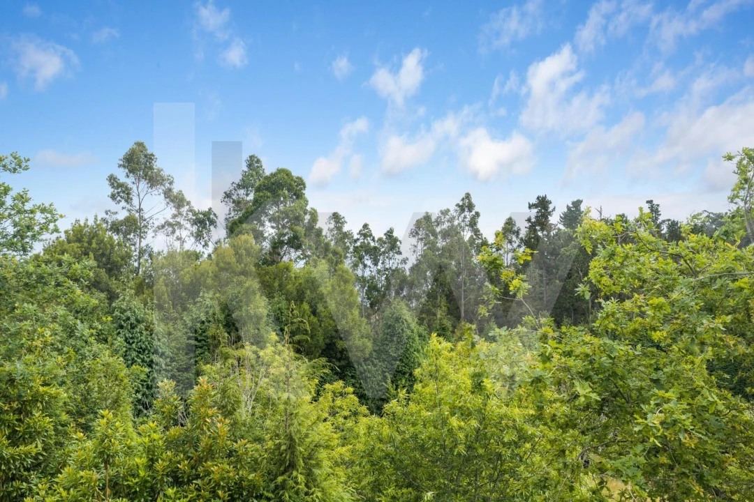 Terreno para Venda em Arco de São Jorge Foto 33