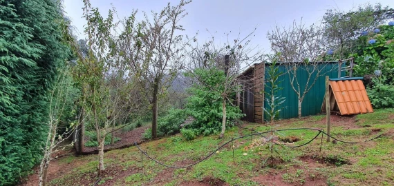 Terreno para Venda em Arco de São Jorge