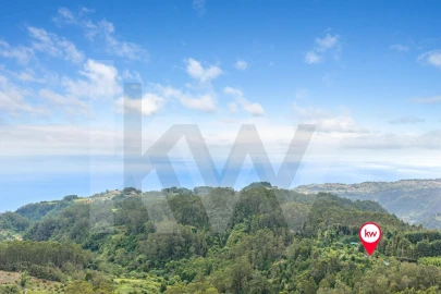 Terreno para Venda em Arco de São Jorge