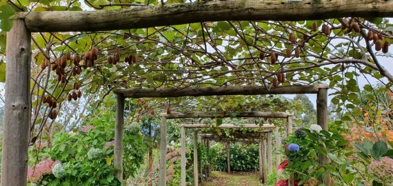 Terreno para Venda em Arco de São Jorge