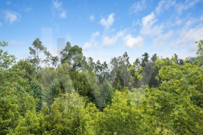 Terreno para Venda em Arco de São Jorge