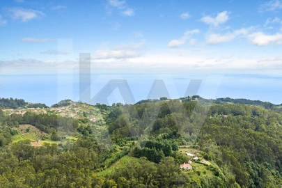 Terreno para Venda em Arco de São Jorge
