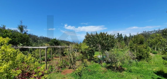 Terreno para Venda em Arco de São Jorge