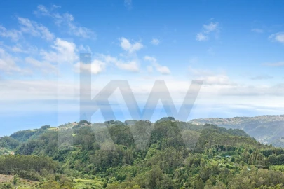 Terreno para Venda em Arco de São Jorge