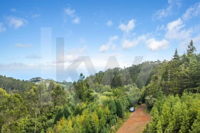 Terreno para Venda em Arco de São Jorge