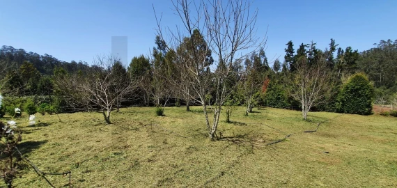 Terreno para Venda em Arco de São Jorge