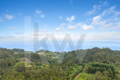 Terreno para Venda em Arco de São Jorge