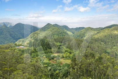Terreno para Venda em Arco de São Jorge