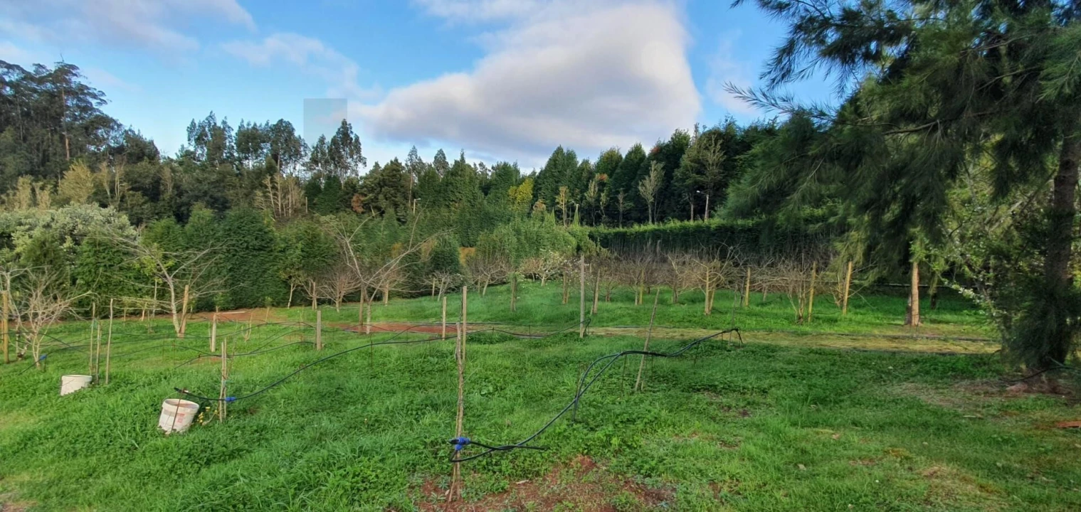Terreno para Venda em Arco de São Jorge Foto 11