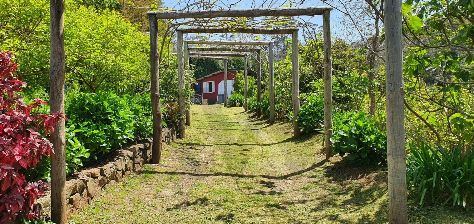 Terreno para Venda em Arco de São Jorge Foto 6