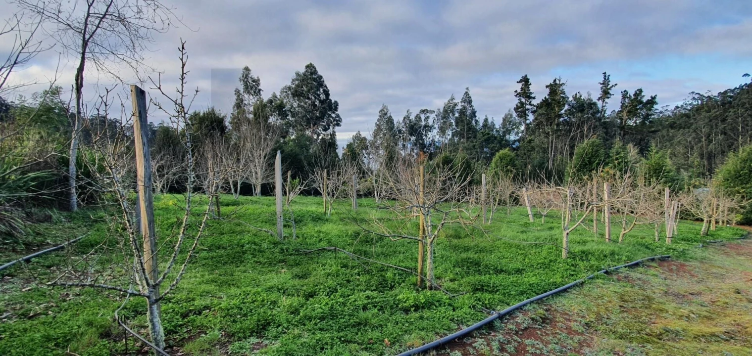 Terreno para Venda em Arco de São Jorge Foto 12