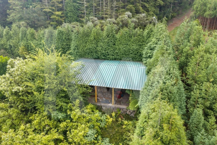 Terreno para Venda em Arco de São Jorge Foto 35