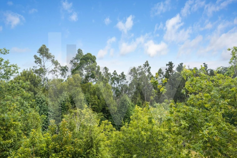 Terreno para Venda em Arco de São Jorge Foto 33